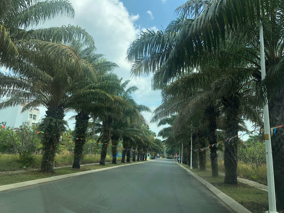 viber_image_2019-11-08_12-13-24.jpg