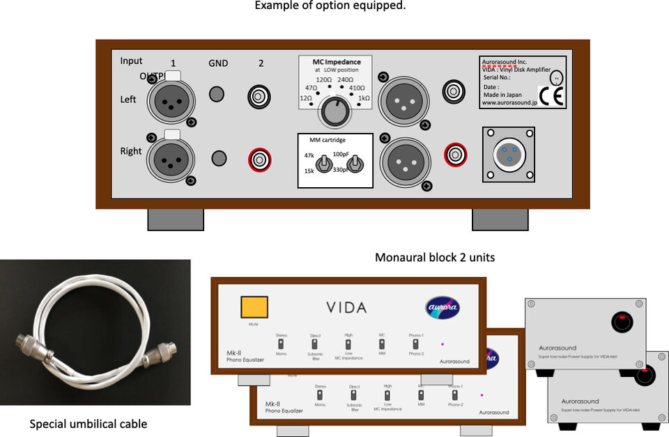 vidamk2option-en.jpg