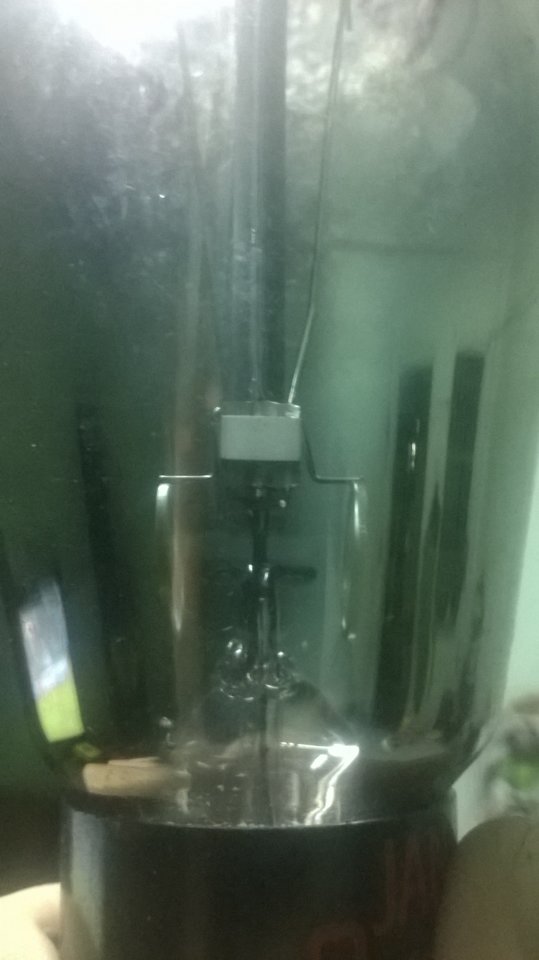 WP_20170613_019.jpg