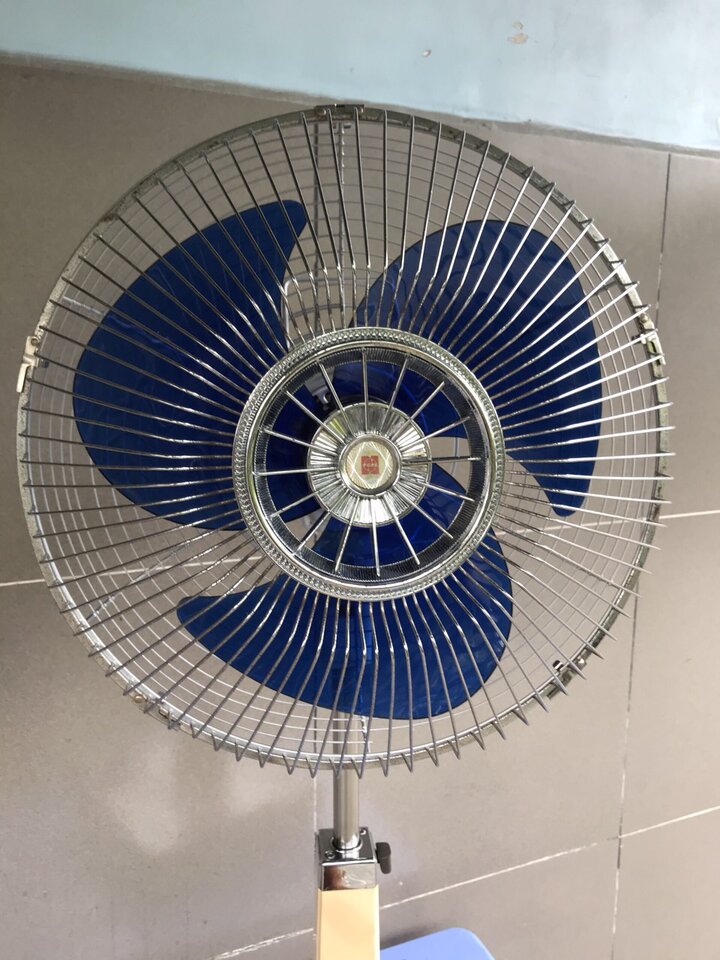 z2337571869785_19e877e11de083df64c643114414da5e.jpg