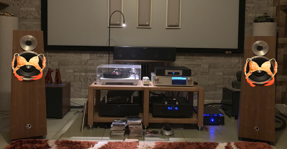 zu che audio.jpg