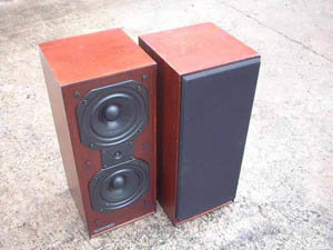 ms-300a resize.jpg