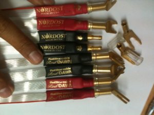 nordost1.JPG