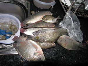 New_12022012_Haiduong 004.jpg