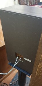 IMG_20220427_230714.jpg