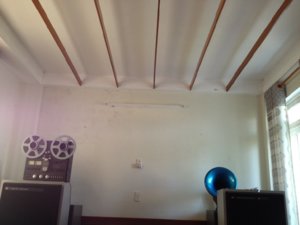 bo bang coi (800 x 600).jpg