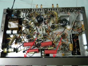 DSCN5106Medium (1).jpg