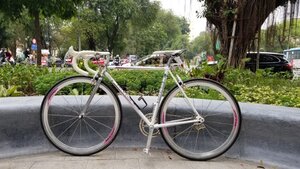 9590561D-C776-418C-B00C-4F0C92762995.jpeg