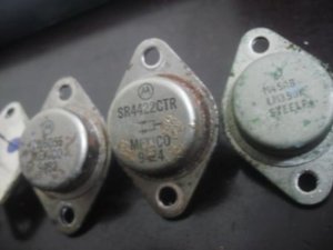 SDC10060.JPG
