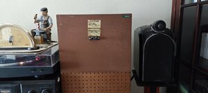 IMG_20230313_105236.jpg