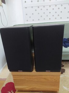 IMG_1510.jpeg