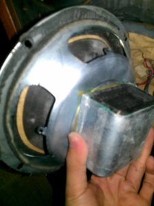 IMAG0367.jpg