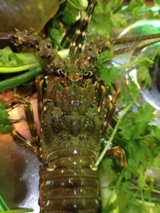 IMG_1089.JPG
