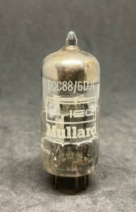 IMG_2807.jpeg