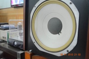 resized_audio 004.JPG