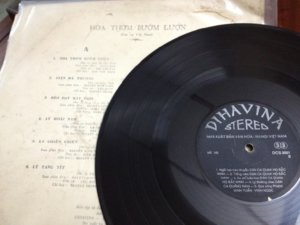 hoa thom buom luon3.jpg