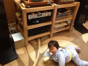 Nghe Pink  (800 x 600).jpg