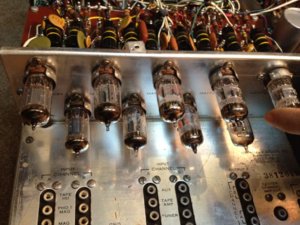 Ruot gan Pre back (800 x 600).jpg