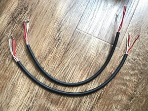 IMG_6349 (Medium).JPG