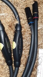 Transparent AV 2.jpg