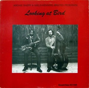 lookingatbird.jpg