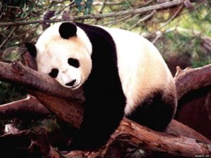 mr_67930_ec2c694e8c8d05c8.jpg