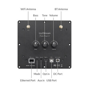 up2stream plate amp 2.1 (2) - Copy.jpg