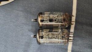 IMG_7361.jpeg