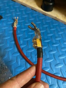 IMG_7183.jpeg