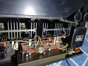 IMG_20230512_144051.jpg