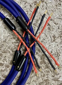 IMG_4953.jpeg