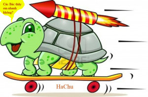 Turtle1.jpg