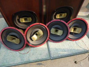 DSC03894 (FILEminimizer).JPG