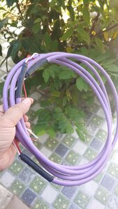 20230620_111208.jpg