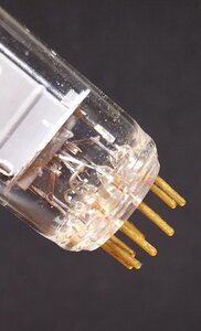 274228621_1346998555802352_7771700073968254828_n.jpg