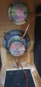 z4483666118999_f60145e526dacb8f5d2a774106b1e4f7.jpg