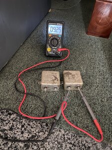 IMG_2300.jpeg
