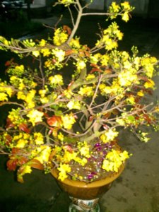 IMAG0411.jpg