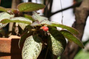 New_CANON_30D_LEN50f1.4 011.jpg