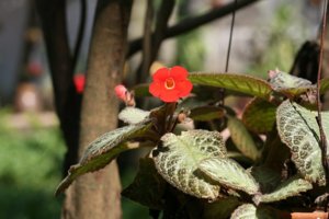 New_CANON_30D_LEN50f1.4 012.jpg