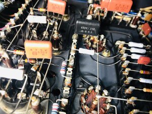 IMG_2080.jpeg