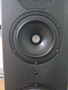 IMG_20230616_211518.jpg