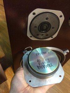 IMG_1504.jpeg