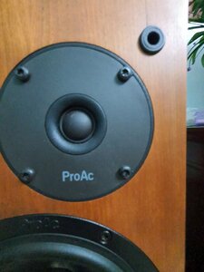 20220810_065850.jpg