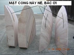 matcong_horn.jpg