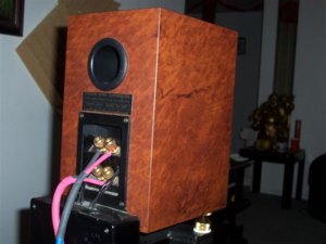 Back L (Small).jpg