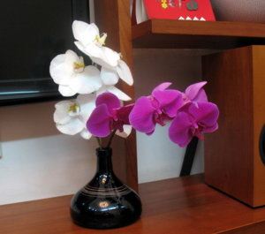 Picture 009_small.jpg