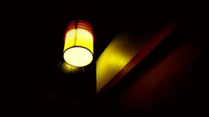 _1010575.jpg