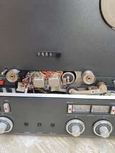 IMG_3228.jpeg