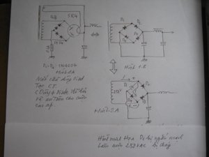 IMG_5194.jpg
